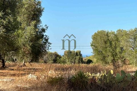 Helårsgrund i Carovigno, Brindisi, Carovigno - € 50.000 | Ref: Sierri VistaMar - foto 1